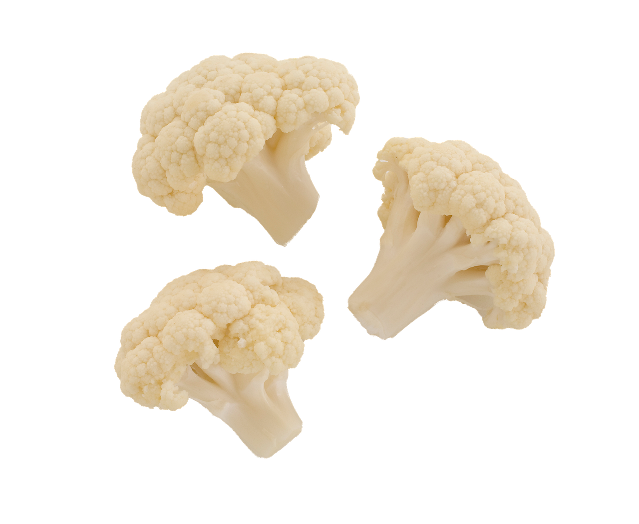 리플코인 가격전망