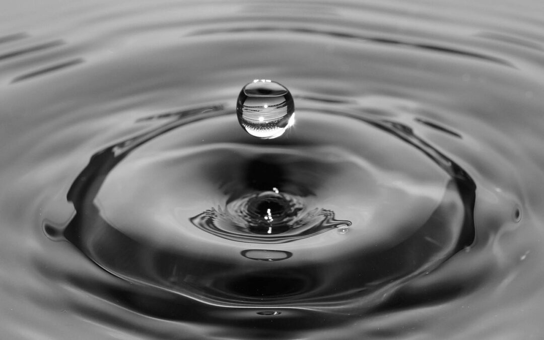 리플 가격 상승의 비밀 분석하기