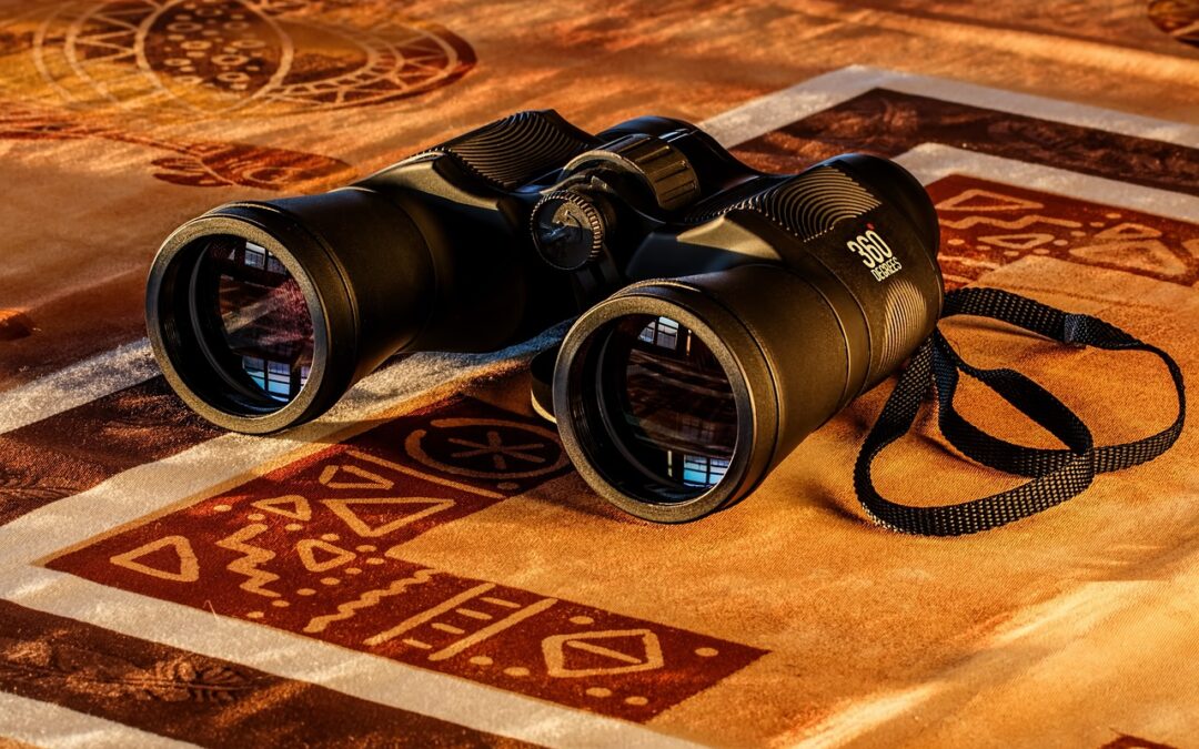 리플과 도지코인, 2024년 가격 전망을 분석해보자