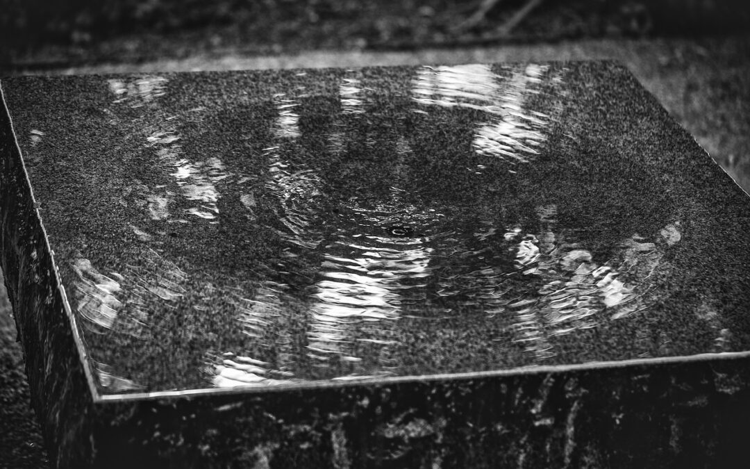 리플 무료채굴의 비밀을 파헤쳐 보자