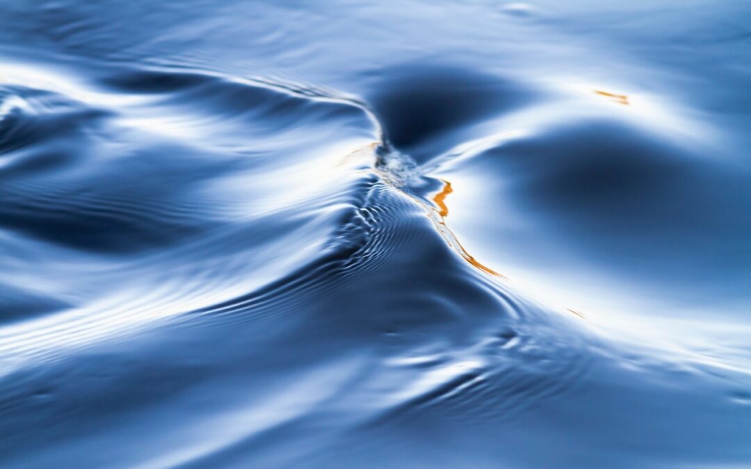 리플 배당의 미래를 예측해보자