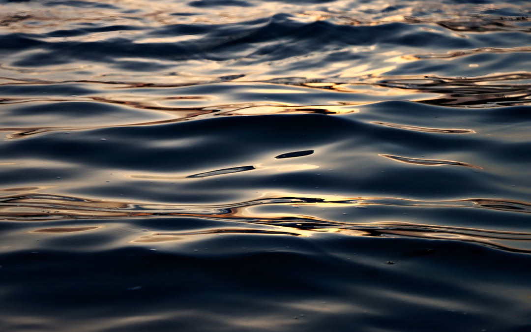 리플 시세조작의 실체와 그 영향 알아보기