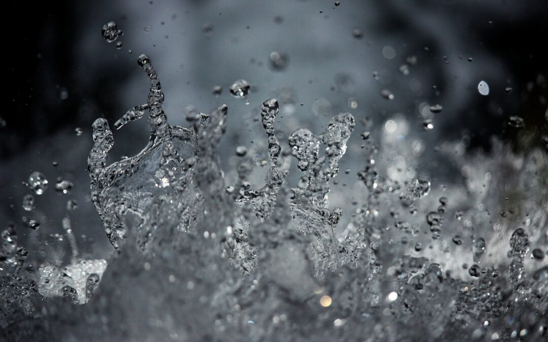 리플 최고점, 그 이면에 숨겨진 비밀을 파헤쳐보자