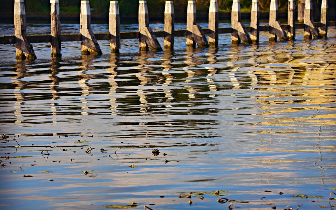 리플 폭락의 숨겨진 이유를 파헤쳐보자