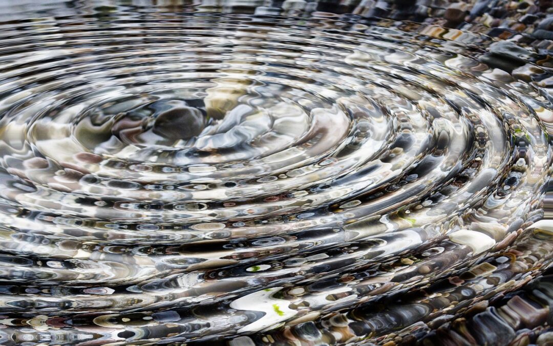 리플 항소의 새로운 전환점 살펴보기