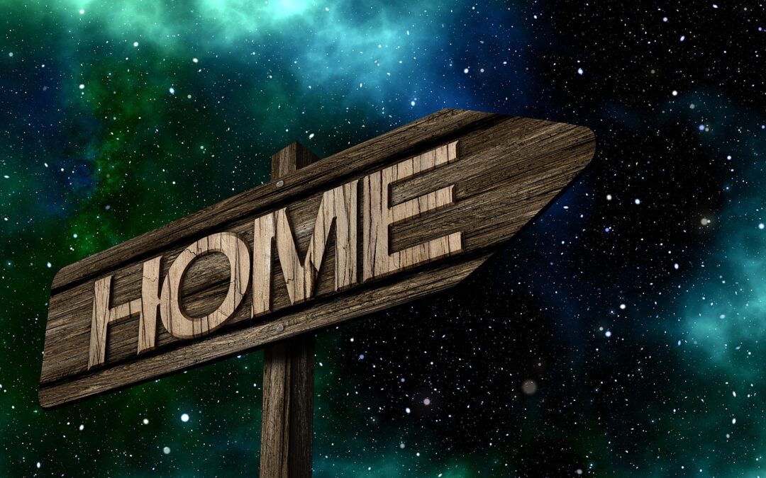 리플의 세계를 탐험하는 완벽 가이드