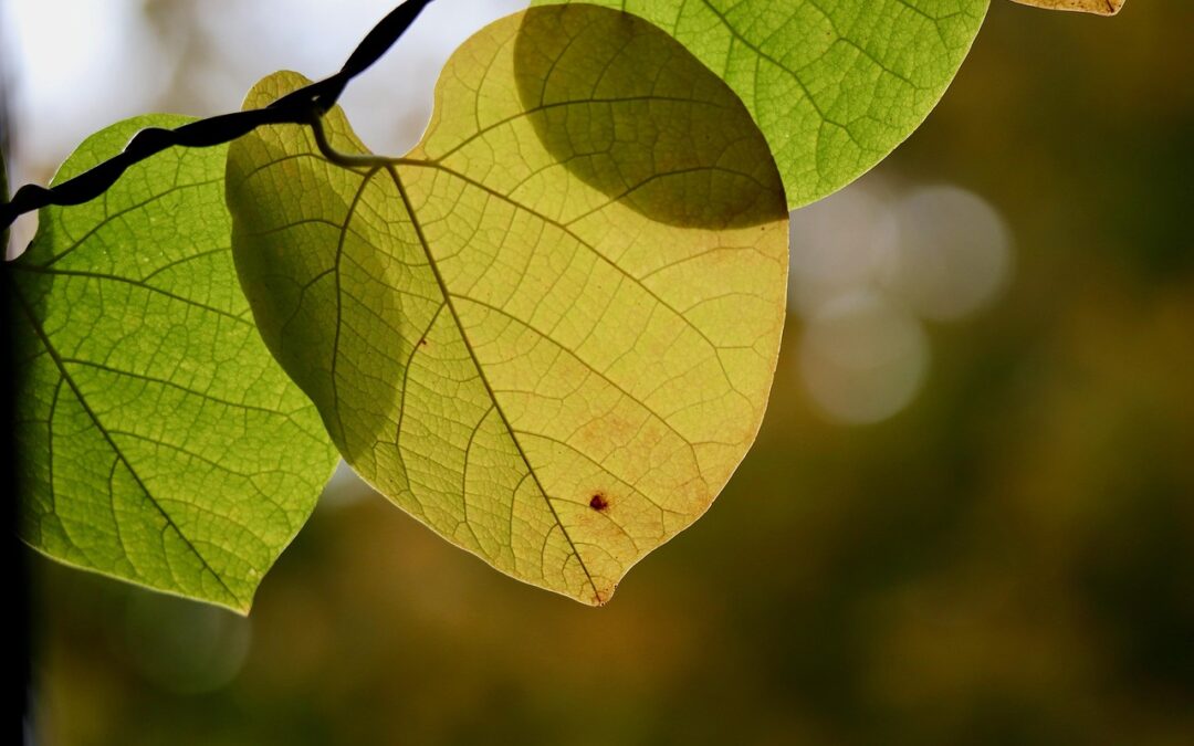 미국 코인 거래소 순위와 선택 기준 알아보기