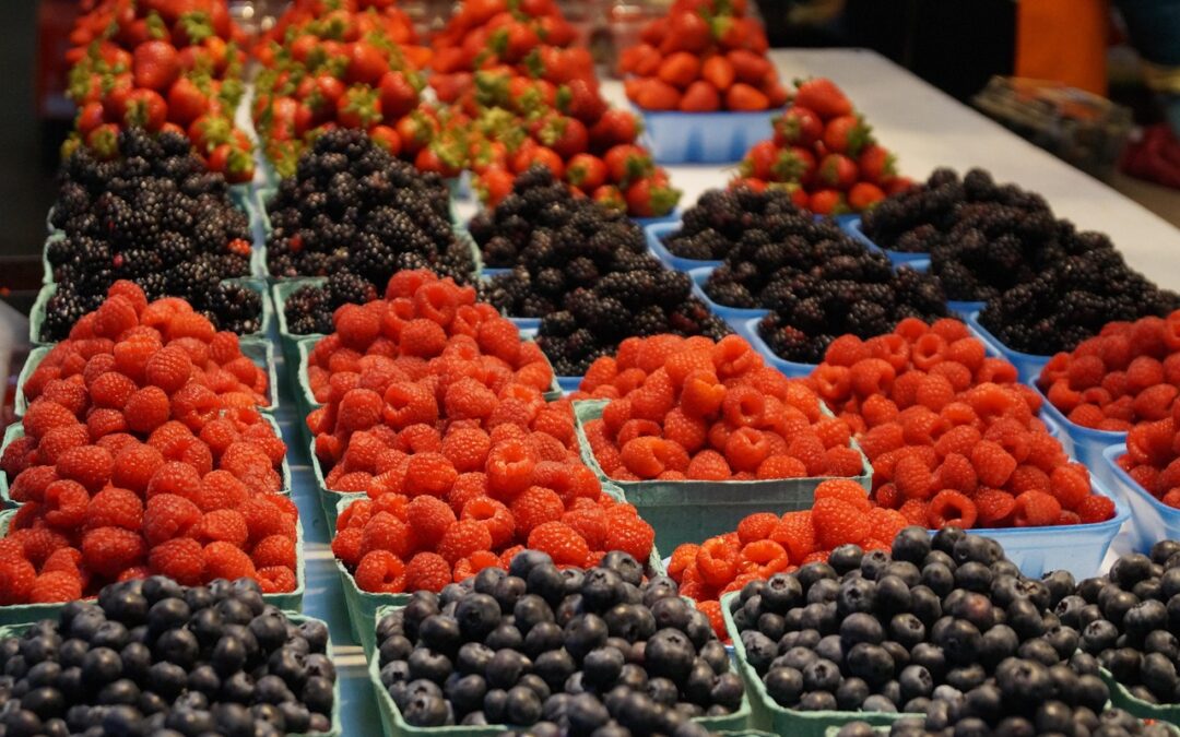 비트코인 반감기 이후 가격 상승의 비밀 분석하기