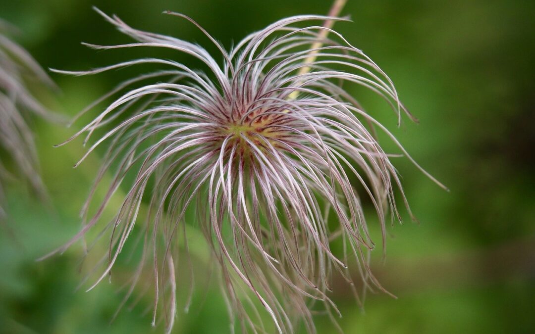비트코인 선물거래소 순위 분석과 투자 전략 알아보기