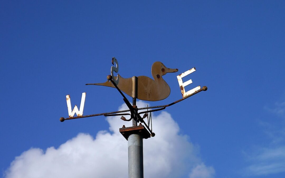 비트코인 예측 사이트에서 꼭 알아야 할 4가지 팁