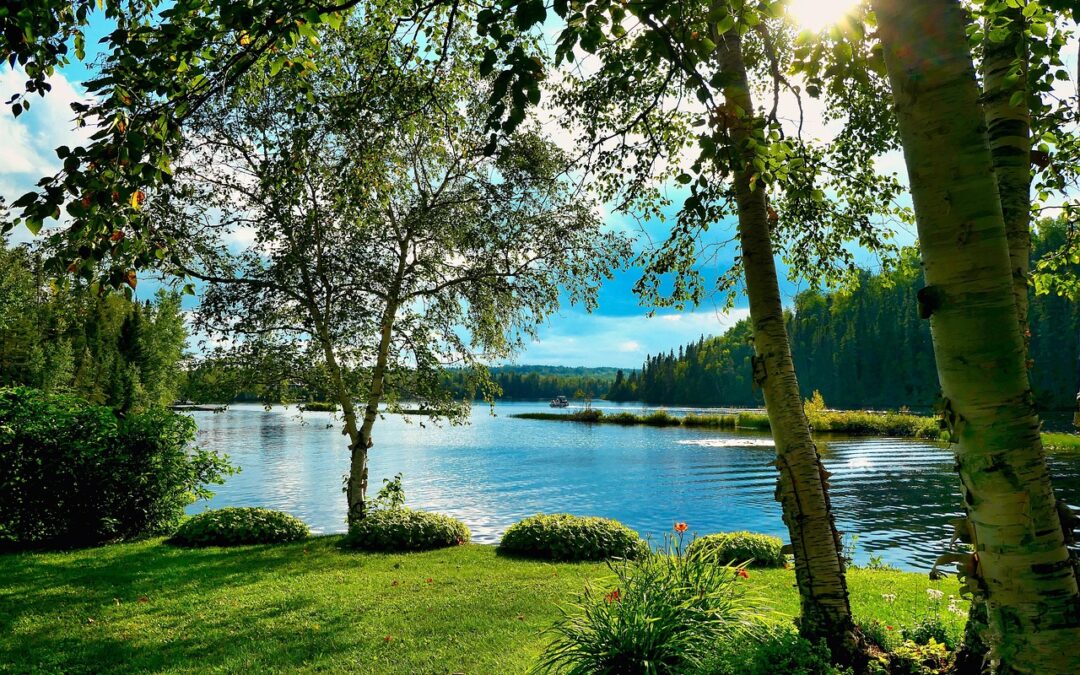 솔라나 생태계의 다양한 코인 탐험하기