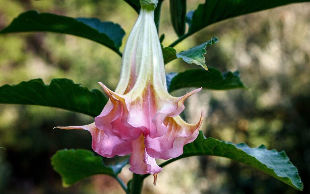 솔라나의 미래, 새로운 가능성을 열다!