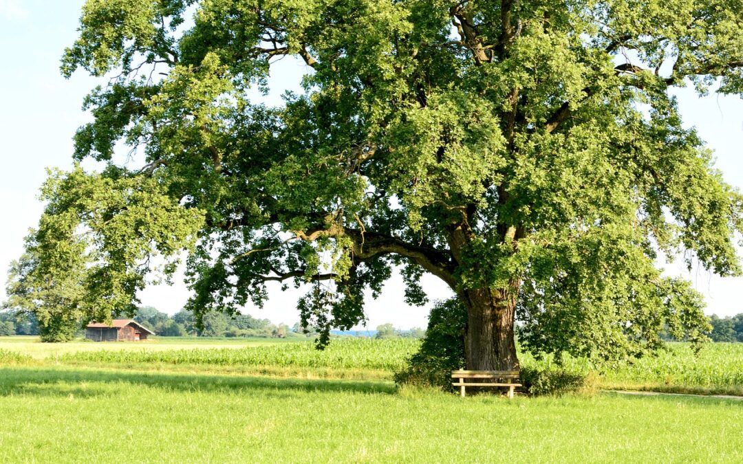 해외 코인거래소 출금 과정에서 주의해야 할 점들 알아보기